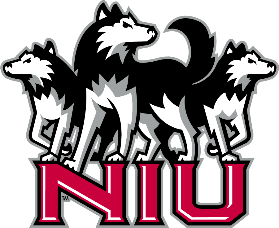 Northern Illinois Huskies 2001-2011 Alternate Logo diy iron on heat transfer
